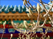 【城市水療設(shè)計(jì)】北京南宮溫泉養(yǎng)生園設(shè)計(jì)